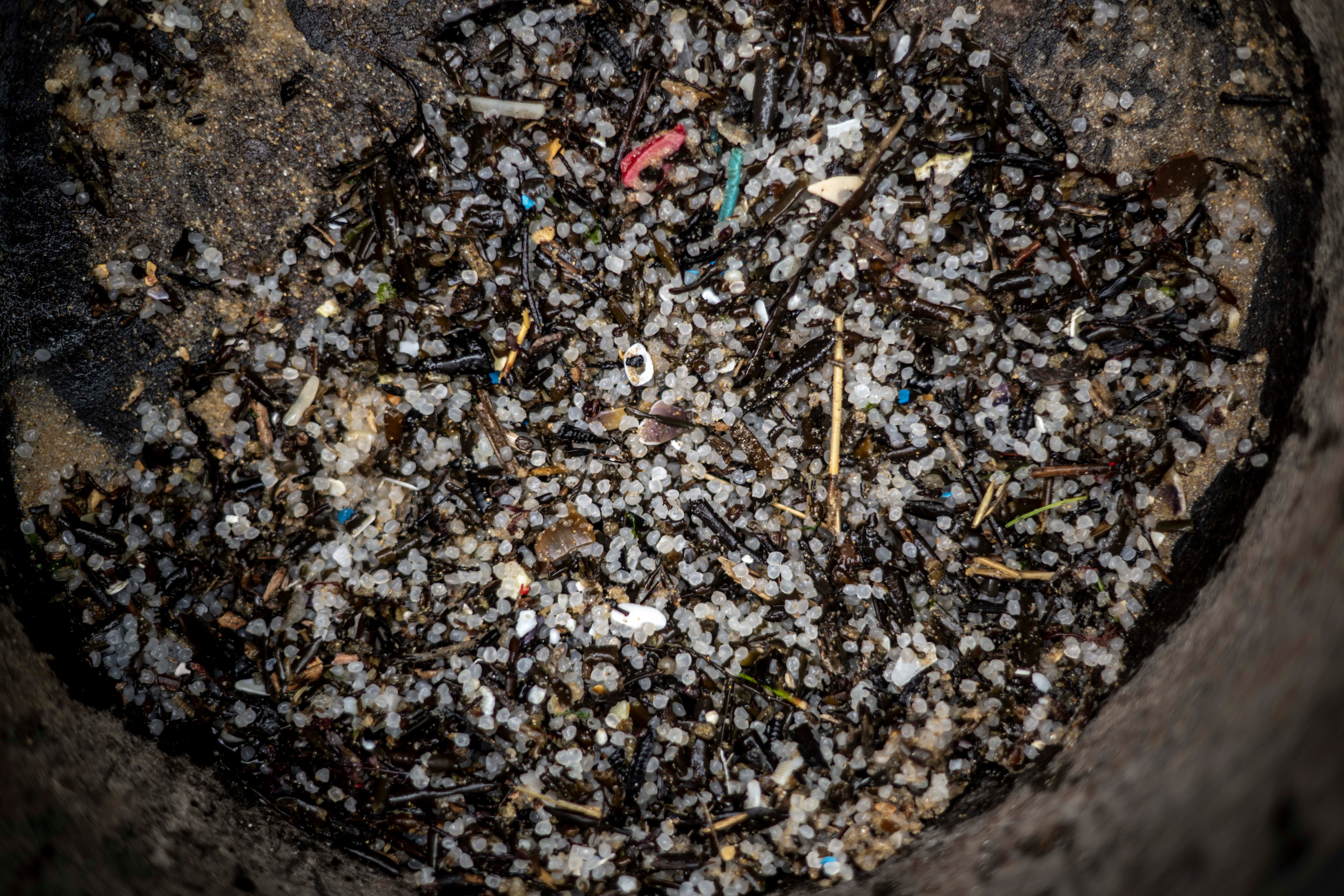 Detalle de los pellets de plástico recogidos por los operarios contratados por Tragsa en la playa de Seiras (Porto do Son), A Coruña, después de que el buque &#039;Toconao&#039;, con bandera de Liberia, perdiera 26.250 kilos de estas diminutas bolitas frente a las costas portuguesas