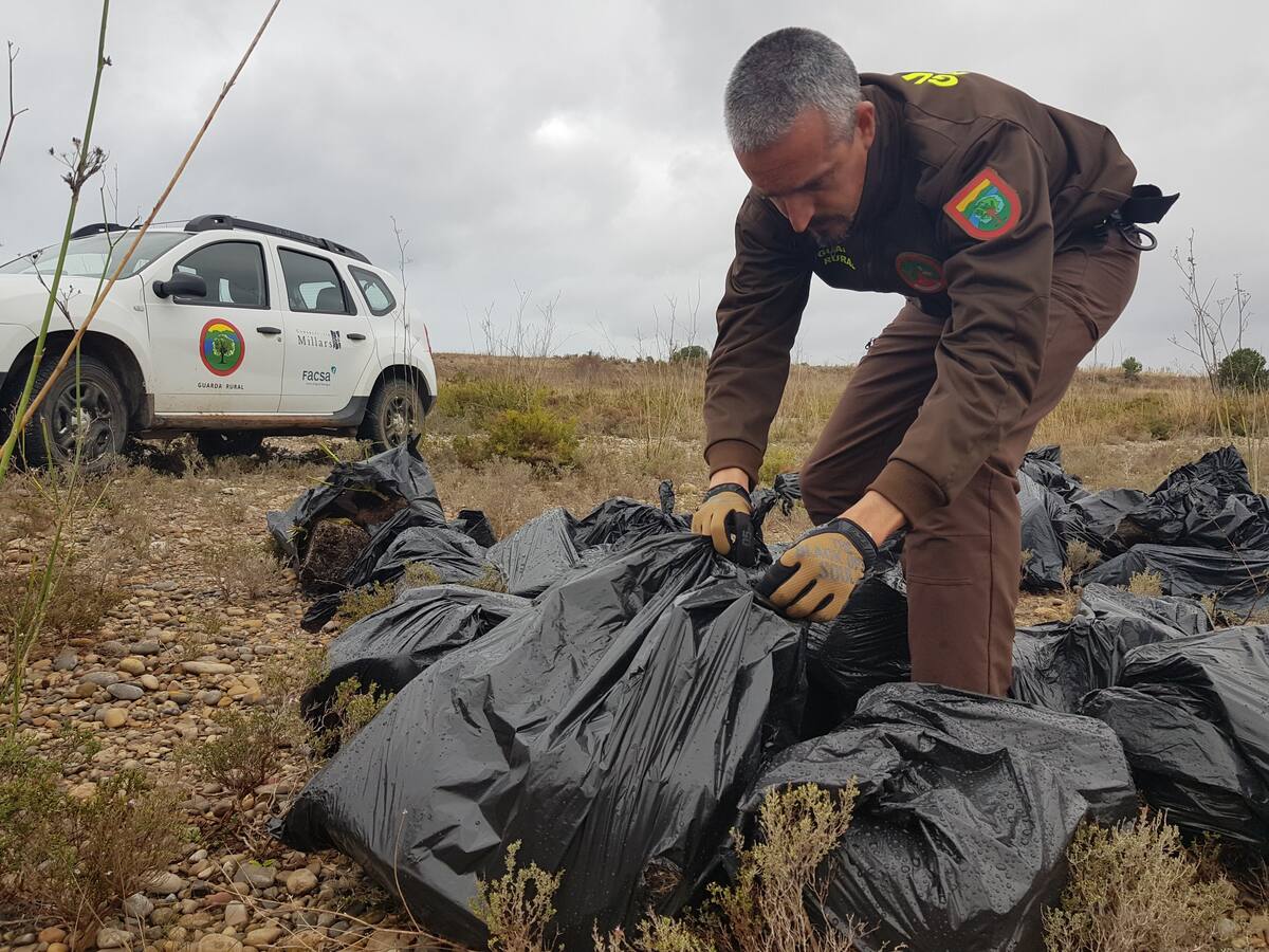 Encuentran bolsas con 50 plantas de marihuana en la desembocadura del río Millars