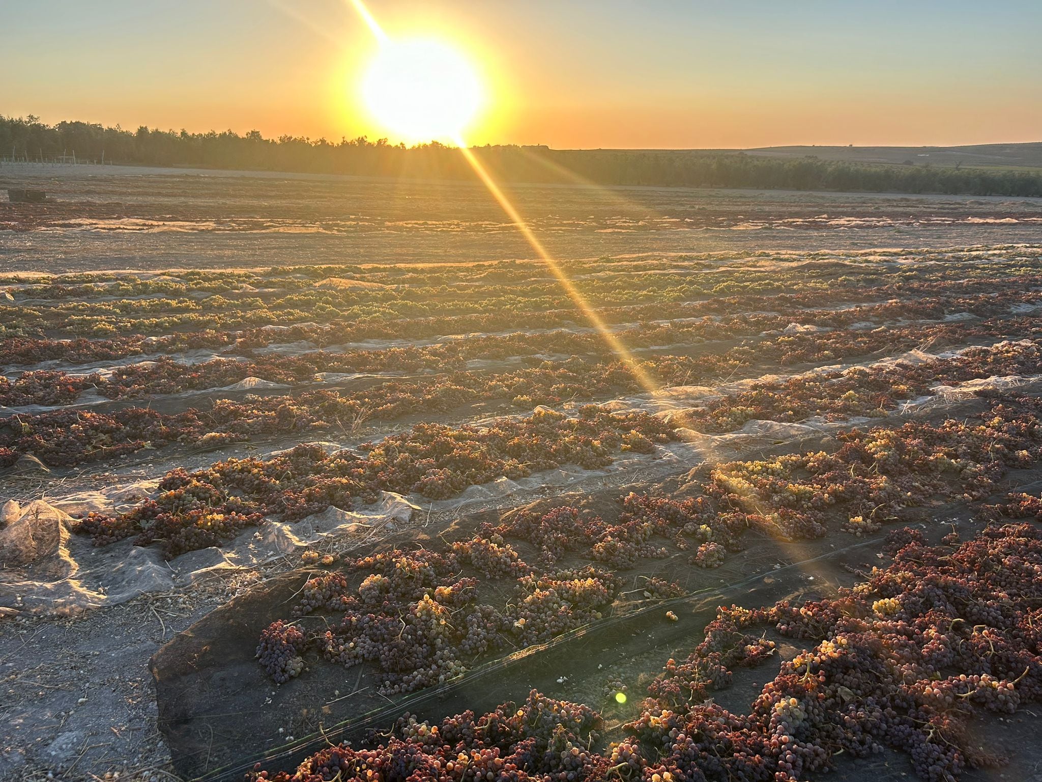 La Pasera es una de las imágenes icónicas del otoño cordobés