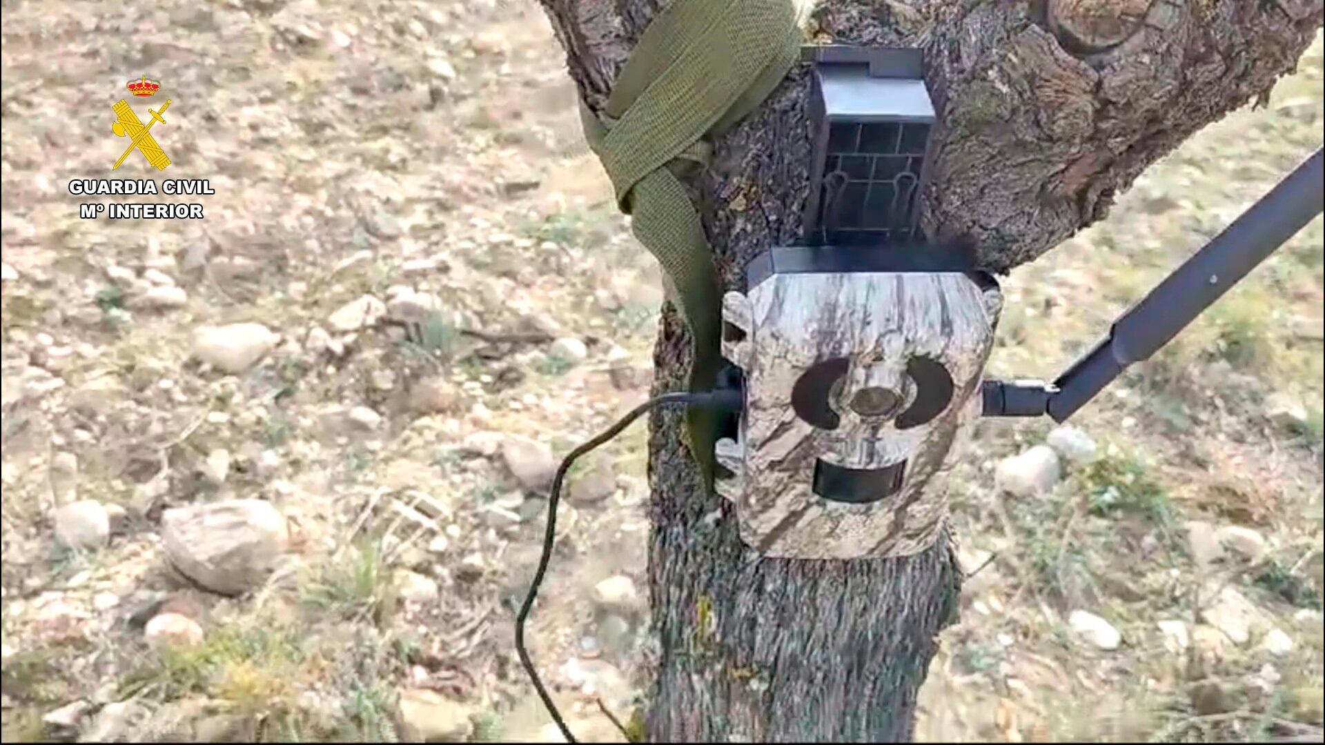 Investigado un hombre de 31 años en La Rioja por la captura ilegal de aves silvestres