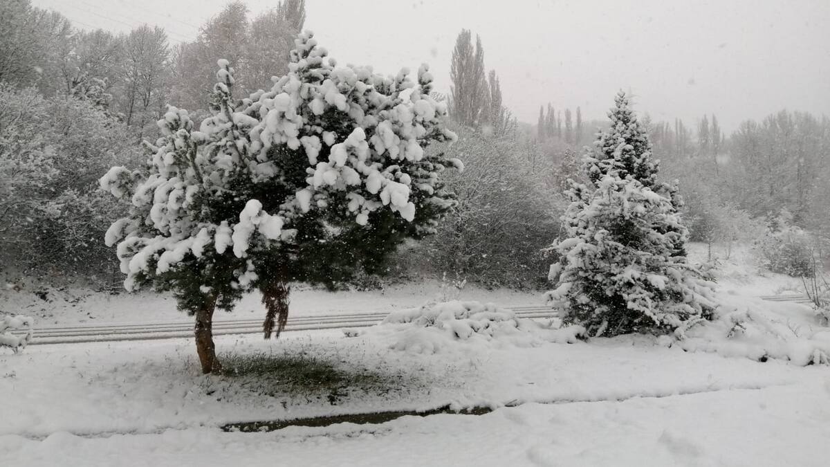 La nieve obliga a llevar cadenas en una decena de carreteras de la zona norte