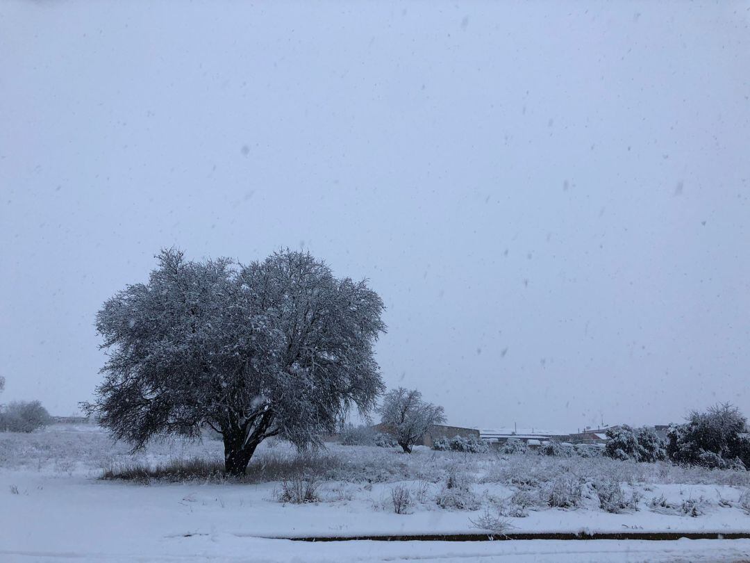 Campos nevados durante la borrasca &quot;Filomena&quot;