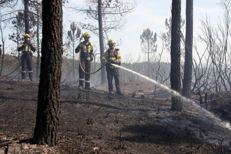 Estabilitzat l&#039;incendi de les Gavarres a Quart, que ha afectat 1,5 hectàrees