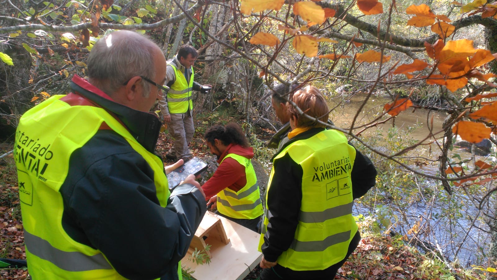 Colocación de trampas en el río Rubagón para la identificación del visón americano