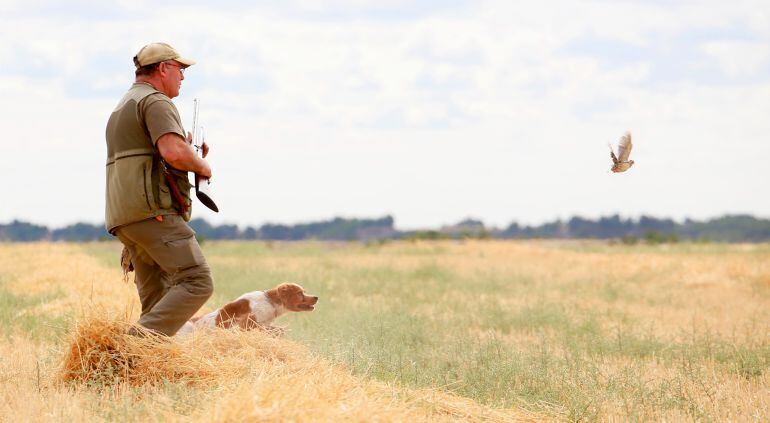 Un cazador, junto a su perro, en una jornada de la media veda