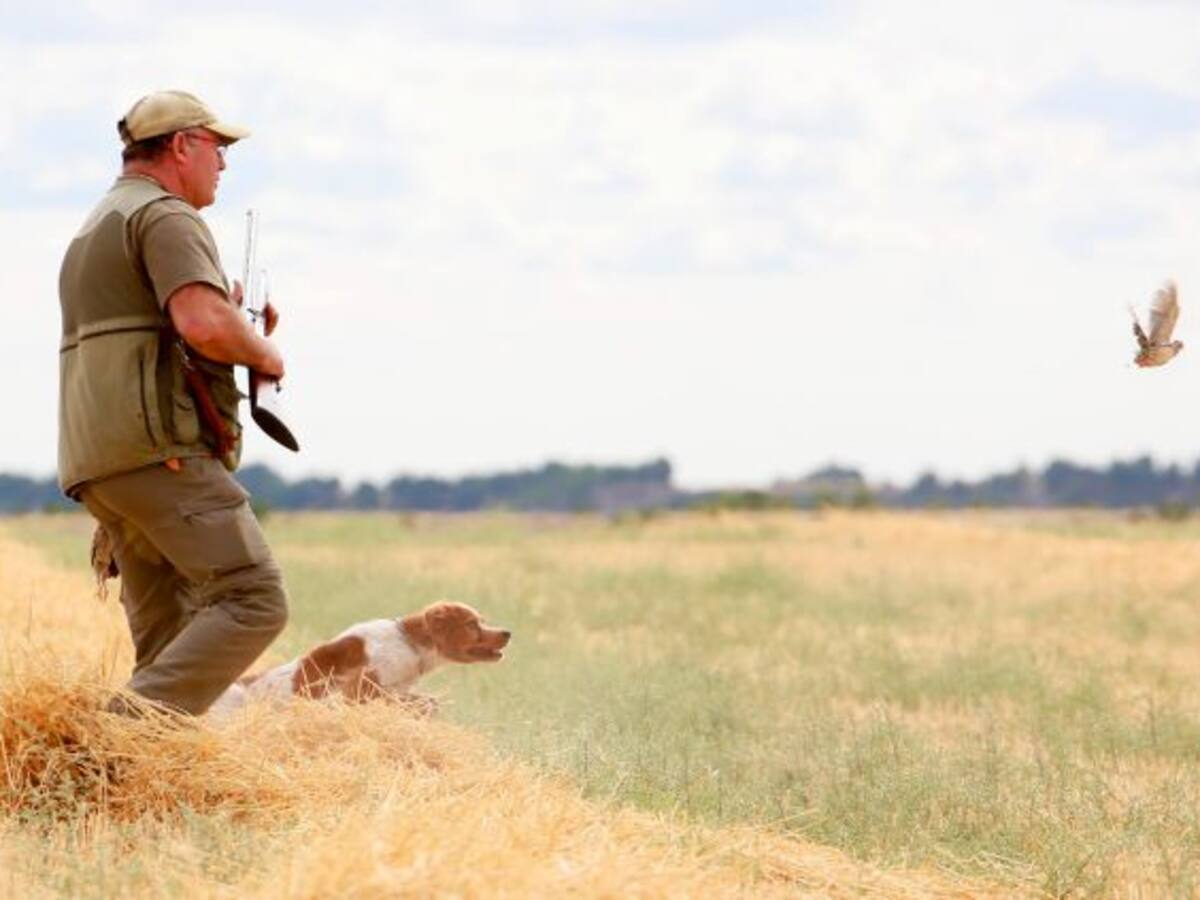 La media veda se extenderá del 15 de agosto al 18 de septiembre