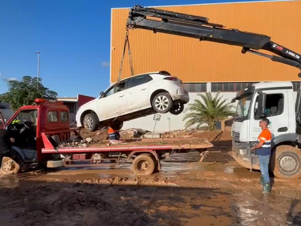 La Asociación de Viveristas envía maquinaria pesada y voluntarios para ayudar a las ciudades afectadas por la DANA
