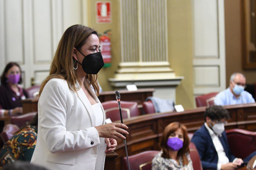 María Dolores Corujo en el Parlamento de Canarias.