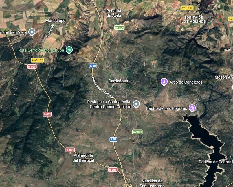 Autovía A 50 , a su paso por el término municipal de Cardeñosa