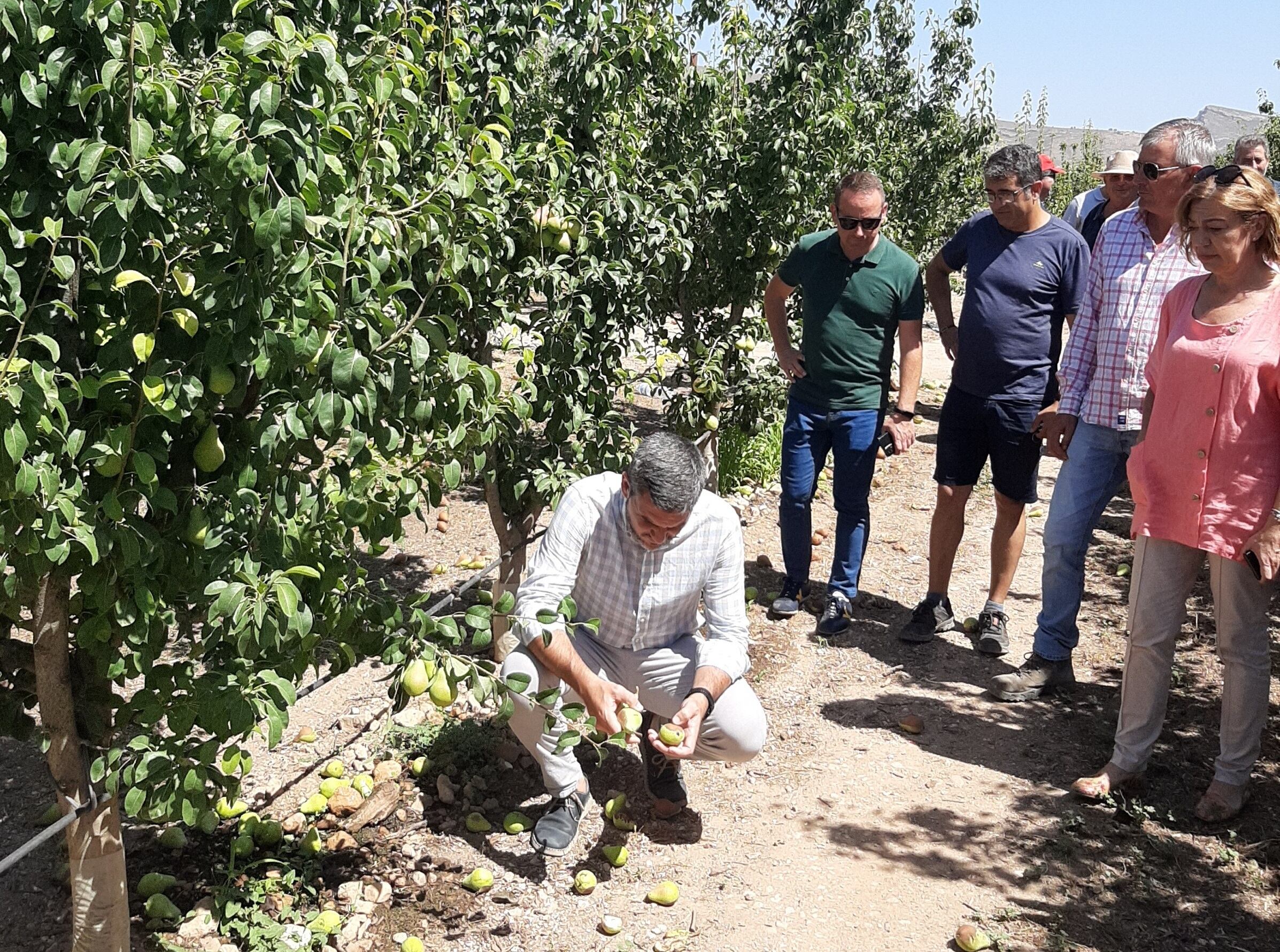 Visita del consejero en funciones de Agua, Agricultura, Ganadería y Pesca, Antonio Luengo, a una zona afectada por el reventón térmico en Jumilla