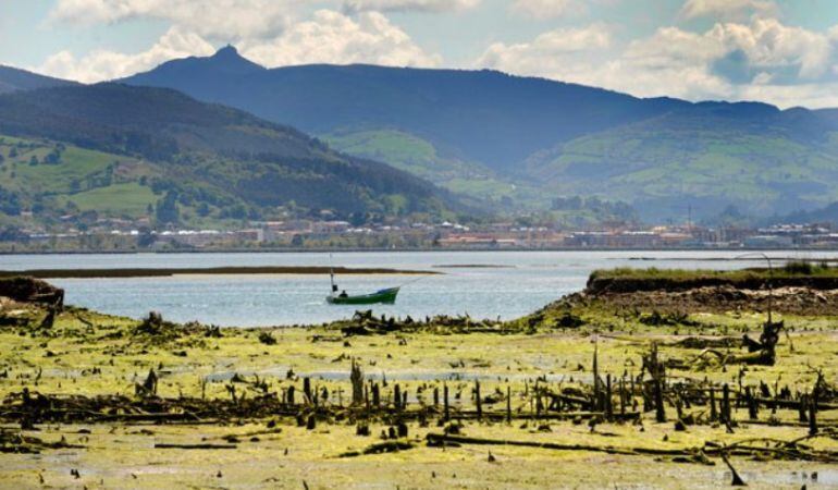 Marismas de Santoña