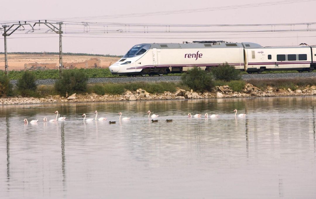 Un tren de Renfe, en una imagen de archivo.