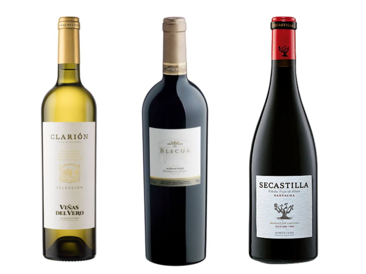 El Grupo Viñas del Vero logra tres Bacchus de Oro