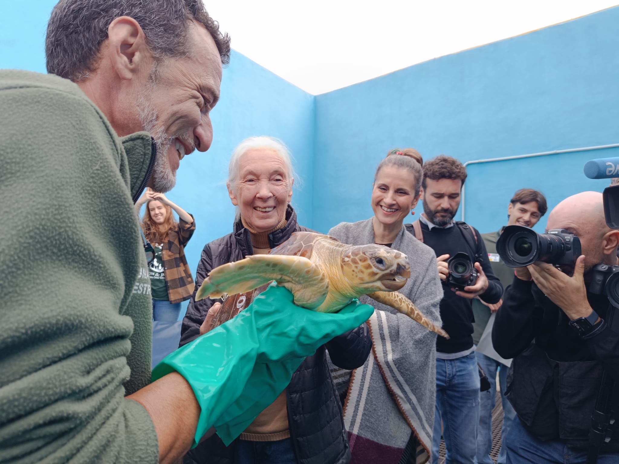 Jane Goodall bautiza como &#039;Goja&#039; a una tortuga que va a ser liberada tras ser rehabilitada / Lucía García