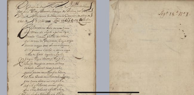 El hallazgo ha sido posible gracias al trabajo de investigación de la profesora Macarena Moralejo, de la Universidad Complutense de Madrid.