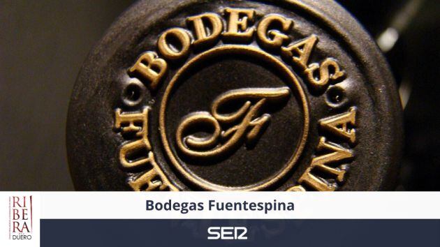 Bodegas Fuentespina