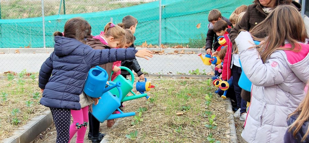 Los alumnos llevaron a cabo el proyecto de crear un huerto