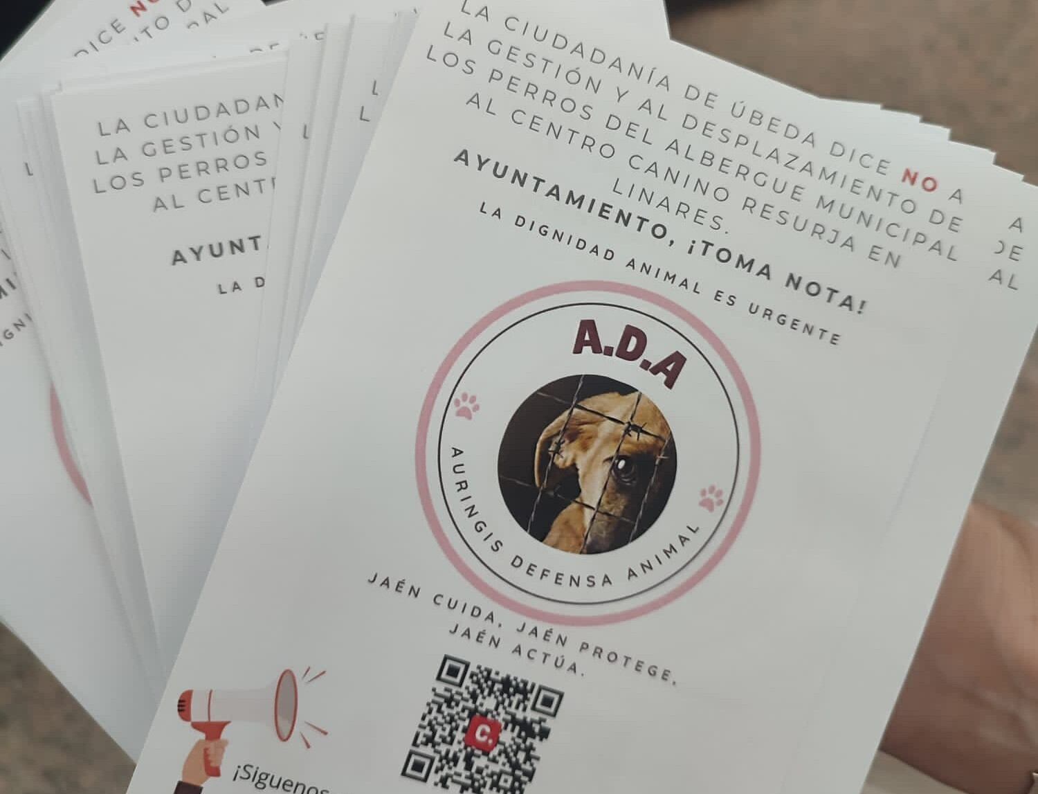 Octavillas repartidas por la plataforma en Úbeda.