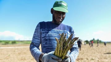 Las dudas de las ONG con los inmigrantes que trabajan en el campo: ¿Qué pasará cuando todo termine?