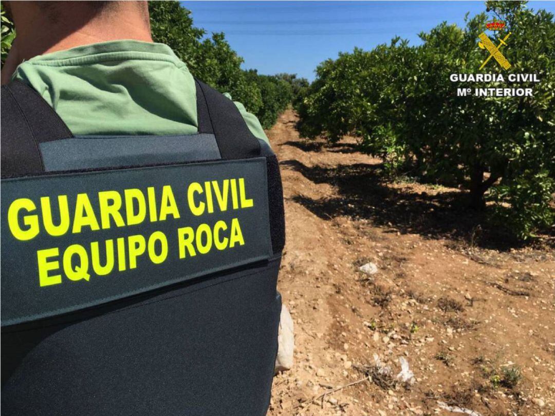 Oleada de robos en el campo