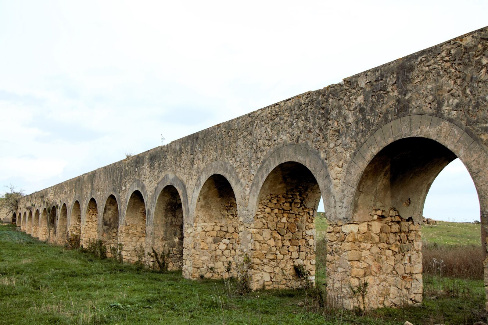 Un "paseíto" por la Vega de Zarandilla y Las Pachecas