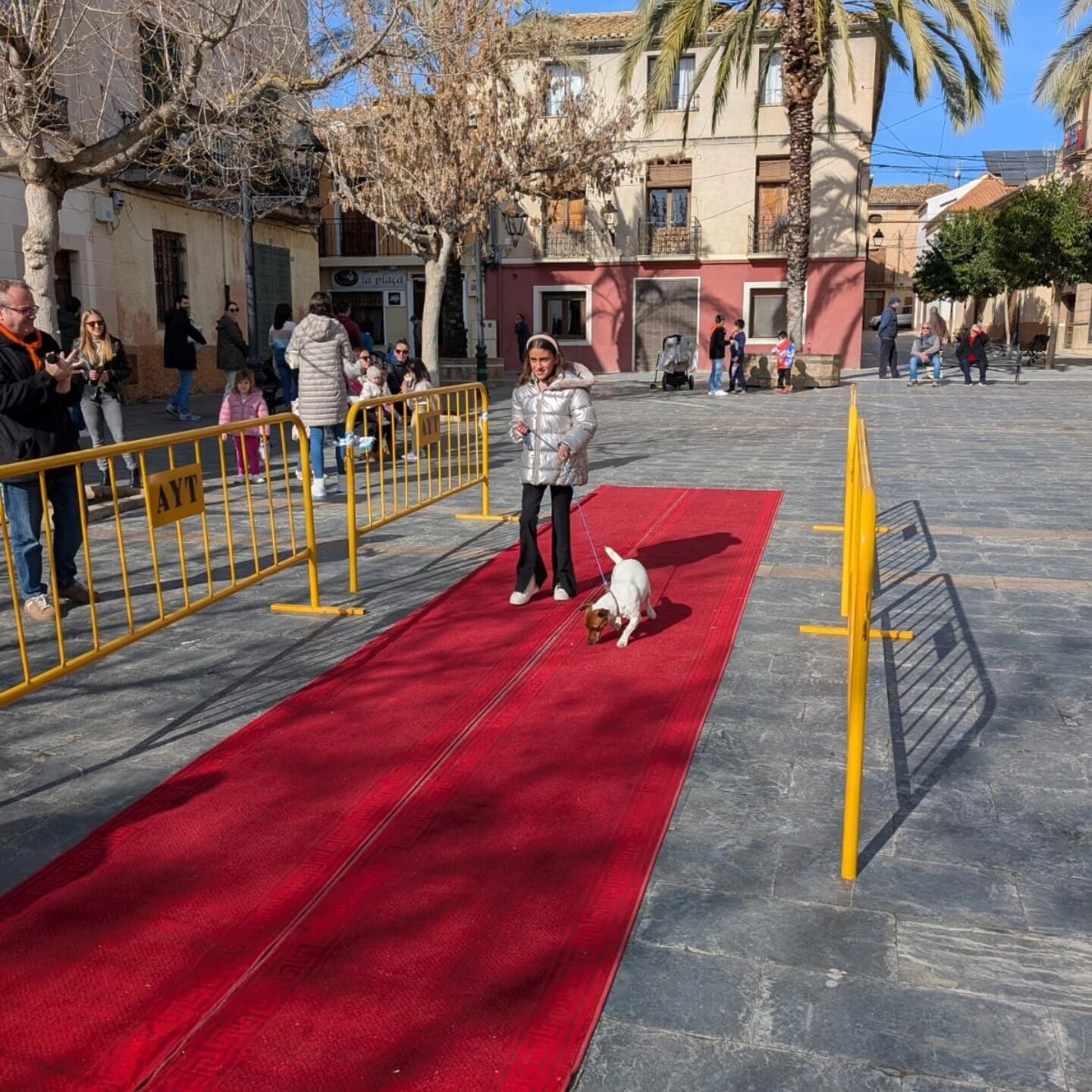 Pasarela de animales en Beneixama