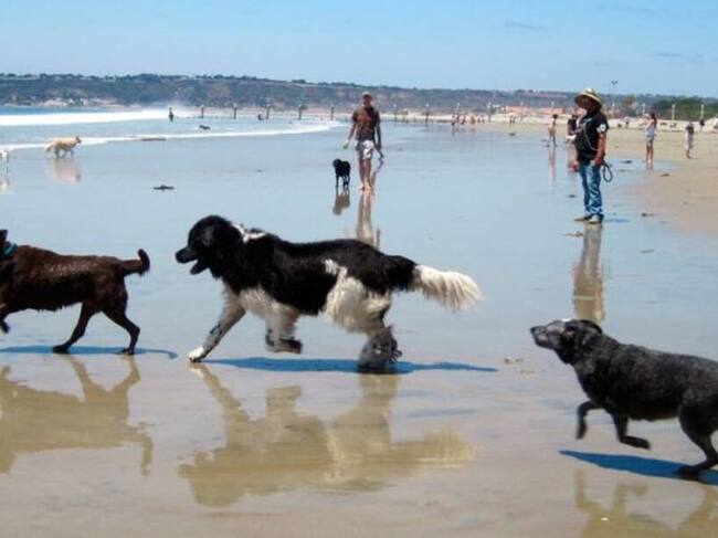Mayte, en el programa Hoy por Hoy, también ha ofrecido recomendaciones para el cuidado de las mascotas en la playa.
