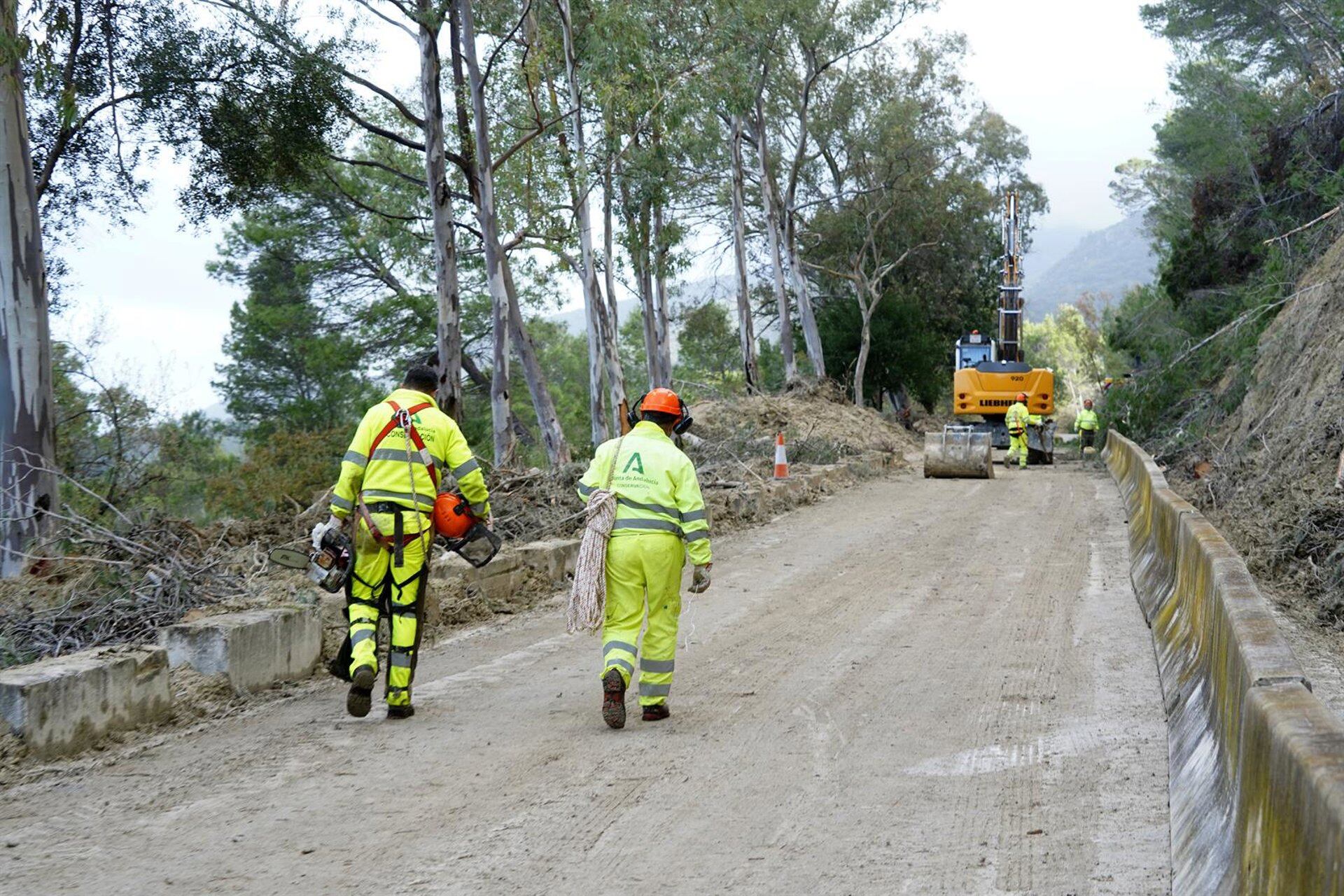 Trabajos en la carretera de acceso a Benamahoma (A-372)