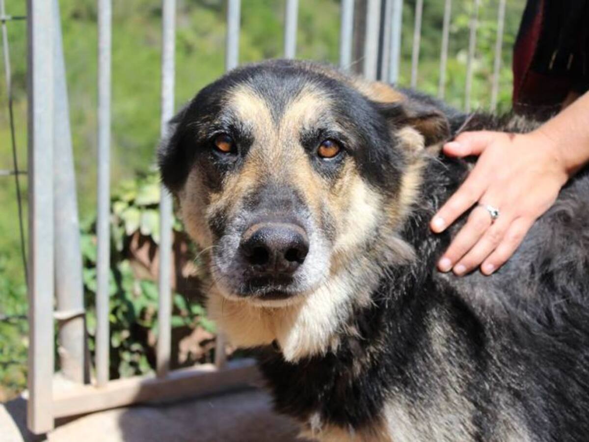 UNA SELFIE, UNA LLAUNA DE MENJAR