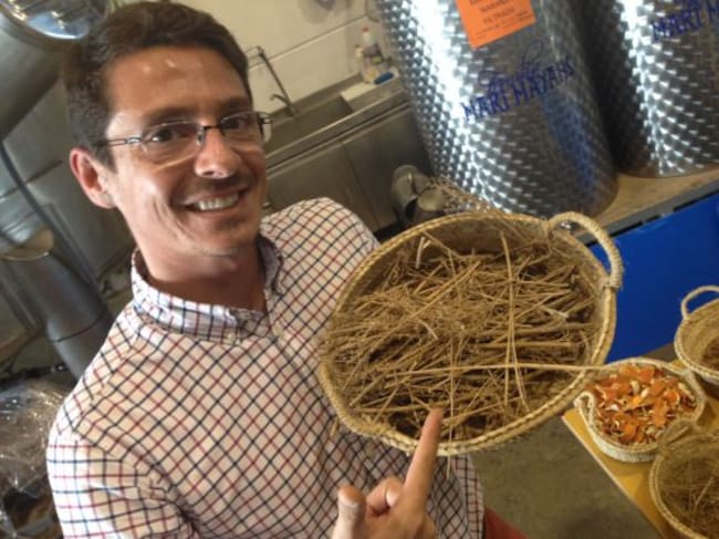 "Si te frotas con ajenjo, luego tendrás la boca pastosa, como si tuvieras resaca".