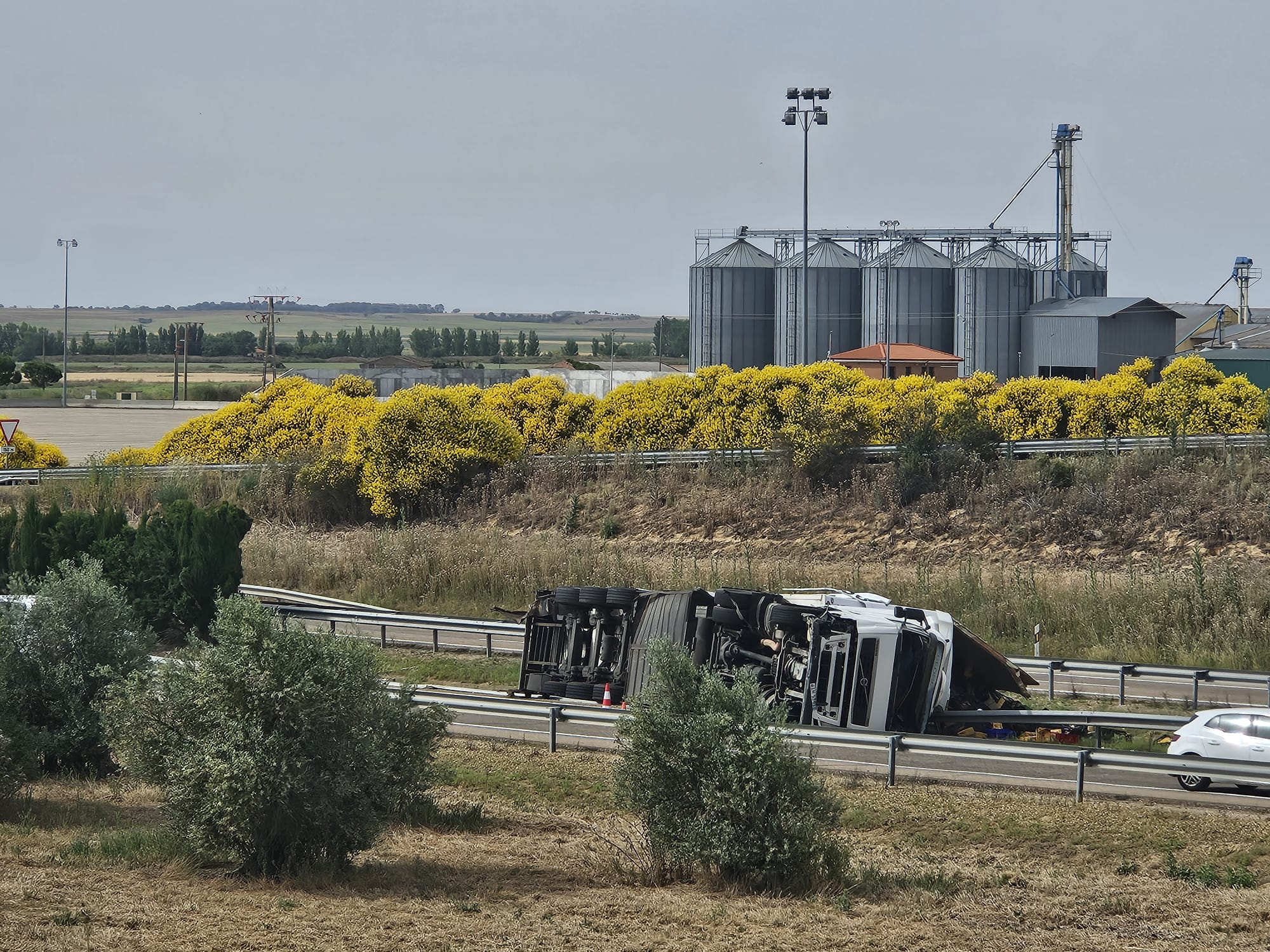 El vehículo siniestrado transportaba carne de pollo destinado a su venta en supermercados