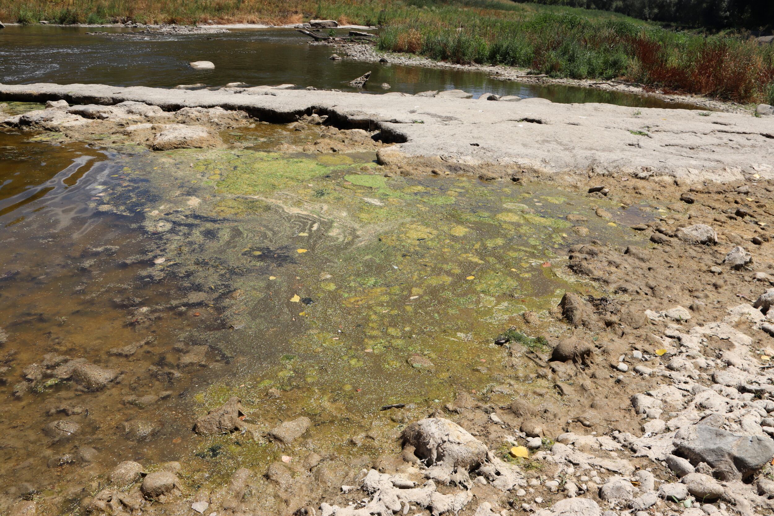 El riu Ter, amb un cabal escàs, a les Masies de Roda (Osona) - ACN