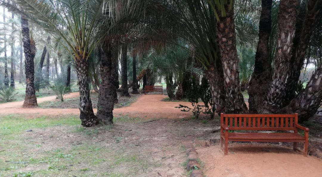 Palmeral de Santiago y Zaraíche