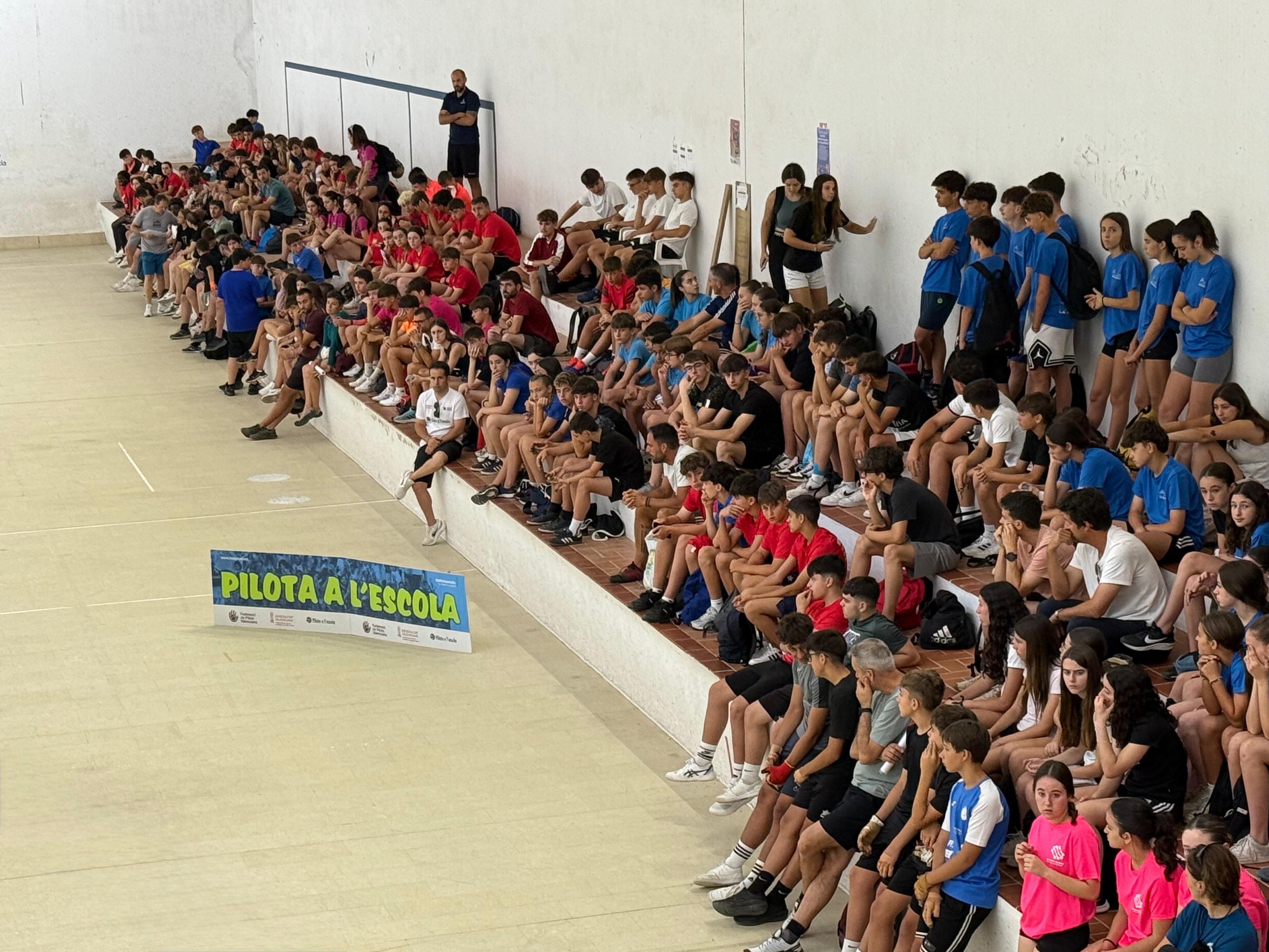 Participantes de la fase final de Pilota a l’Escola 2025, celebrada en el Polideportivo Municipal de Ontinyent