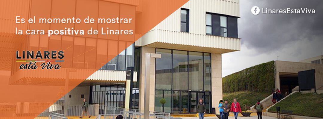 Campaña &quot;Linares está Viva&quot;.