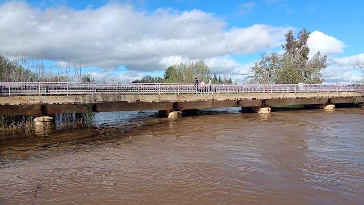 Samuel Moraleda: "Hemos pasado de una situación de emergencia a otra de casi normalidad"
