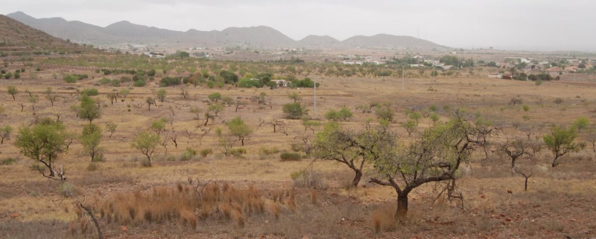 Zona Oeste de Cartagena