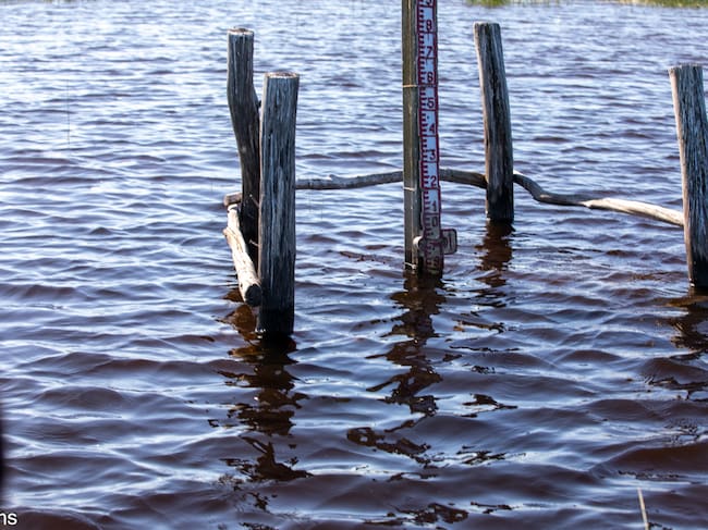 Espacio Natural de Doñana (mayo de 2025)