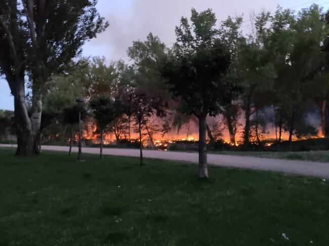 Nuevos conatos de incendios de pelusas en Palencia