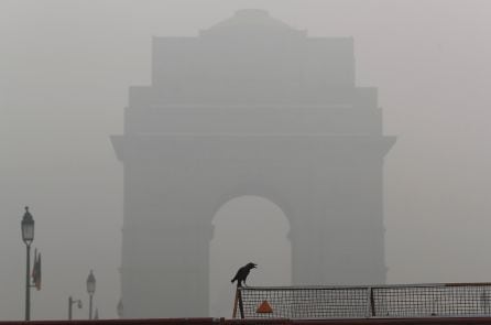 Un cuervo frente a la Puerta de la India, en Nueva Delhi.