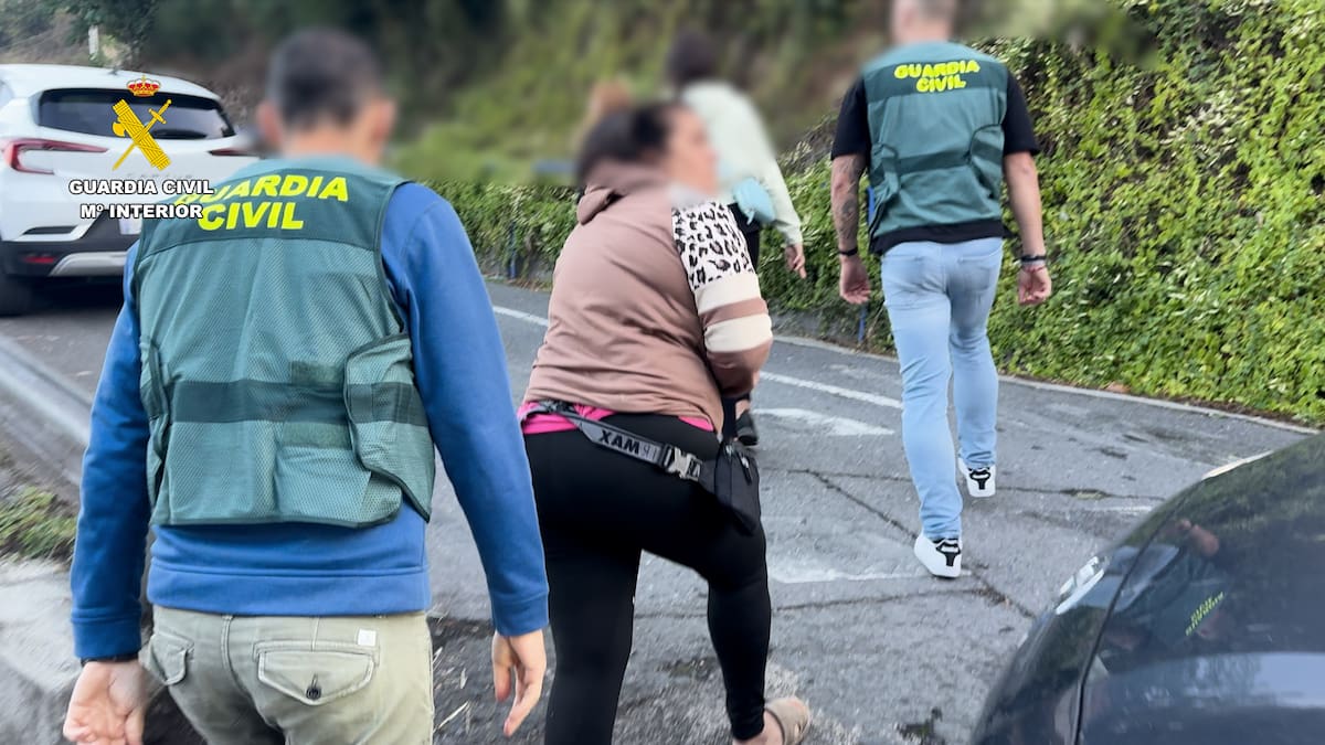 130 víctimas en más de 30 provincias, entre ellas La Rioja: desarticulado un grupo criminal dedicado a estafar por internet con la venta y adopción de mascotas