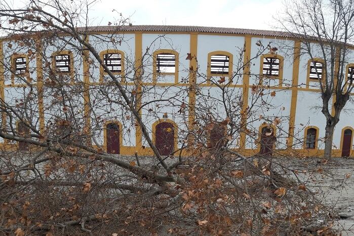 Caída de un castaño junto al Arenal