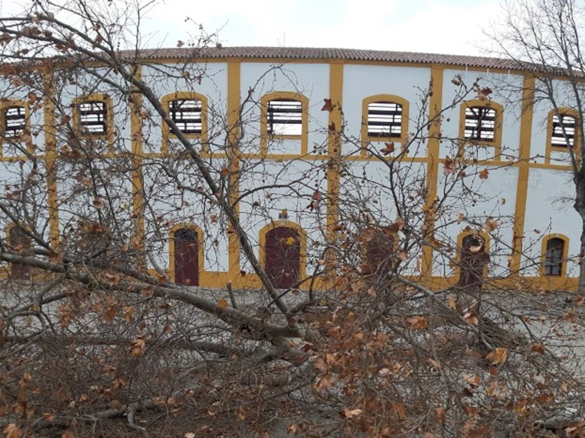 La Línea atiende numerosas incidencias causadas por el temporal de viento