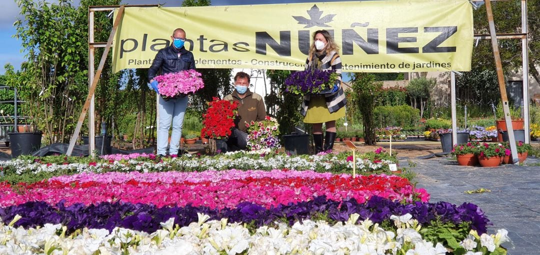 El concejal de Medio Ambiente, Carlos Fernández (izquierda) recoge las petunias en Plantas Núñez