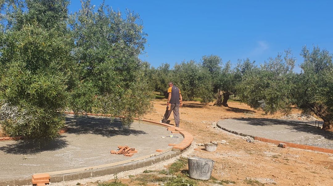 Obras de adecentamiento en los olivos del Eco Parque.