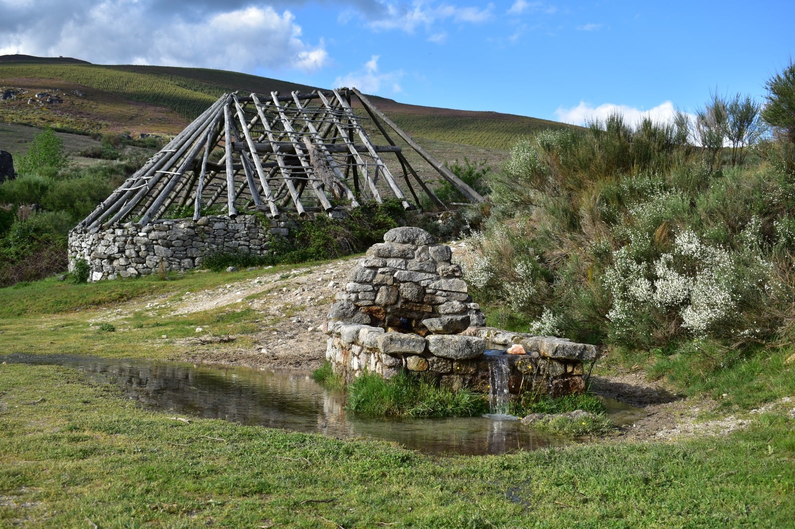 Campo del Agua