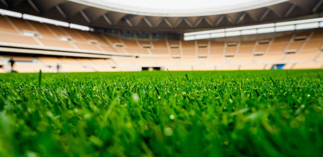 Imagen de un estadio vacío poco antes del comienzo de un partido