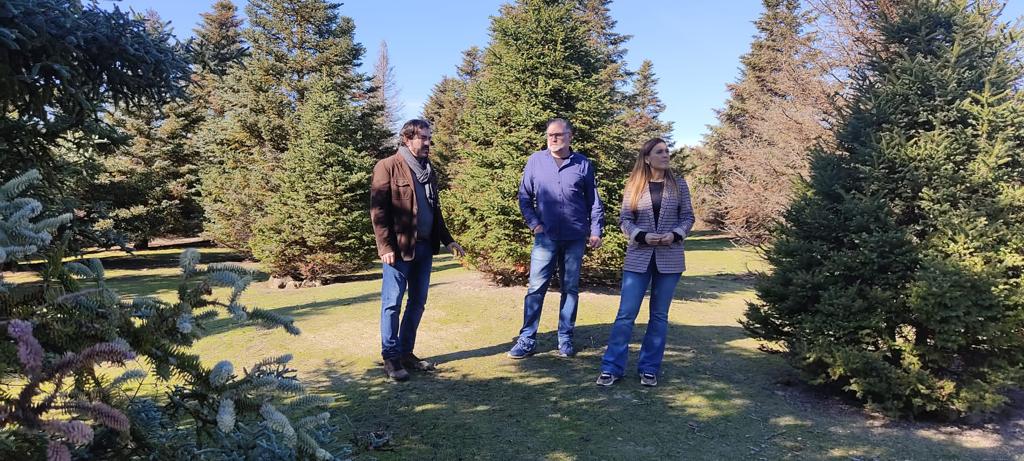 La delegada de Sostenibilidad, Medio Ambiente y Economía Azul, María José Lara, acompañada de técnicos durante su visita al bosque de pinsapos.