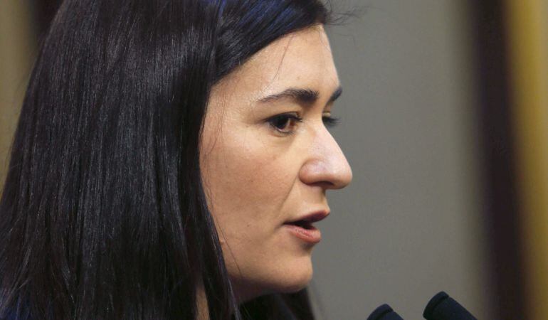 GRA081 MADRID, 18/02/2015.- La secretaria de Igualdad del PSOE, Carmen Montón, en declaraciones a los medios de comunicación hoy en el Congreso, en las que ha rechazado la proposición de ley presentada por el PP para reformar la ley del aborto por conside