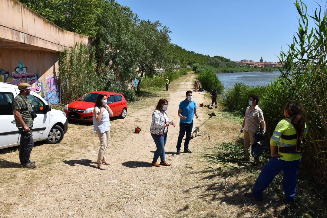 Limpieza riberas del Tajo